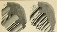 An illustration from A glossary of terms used in Grecian, Roman, Italian, and Gothic architecture (1845)