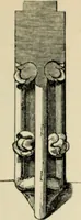 An illustration from A glossary of terms used in Grecian, Roman, Italian, and Gothic architecture (1845)