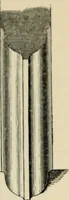 An illustration from A glossary of terms used in Grecian, Roman, Italian, and Gothic architecture (1845)