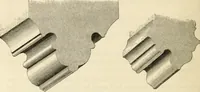 An illustration from A glossary of terms used in Grecian, Roman, Italian, and Gothic architecture (1845)