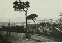 Picture 1 of 126 from Gènes (1907), leaf 10