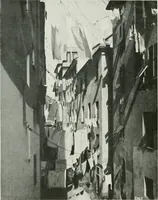 Picture 3 of 126 from Gènes (1907), leaf 13