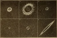 An illustration from The goal of life, or, Science and revelation (1908)
