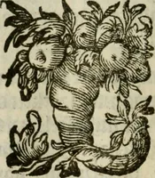 An illustration from Goddelycke wenschen : verlicht met sinne-beelden, ghedichten en vierighe uyt-spraecken der oud-vaeders (1629)