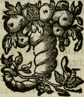 Picture 21 of 63 from Goddelycke wenschen : verlicht met sinne-beelden, ghedichten en vierighe uyt-spraecken der oud-vaeders (1629), leaf 167