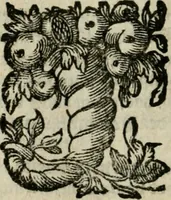 Picture 24 of 63 from Goddelycke wenschen : verlicht met sinne-beelden, ghedichten en vierighe uyt-spraecken der oud-vaeders (1629), leaf 203
