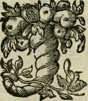 An illustration from Goddelycke wenschen : verlicht met sinne-beelden, ghedichten en vierighe uyt-spraecken der oud-vaeders (1629)