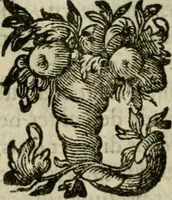 An illustration from Goddelycke wenschen : verlicht met sinne-beelden, ghedichten en vierighe uyt-spraecken der oud-vaeders (1629)