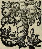 Picture 56 of 63 from Goddelycke wenschen : verlicht met sinne-beelden, ghedichten en vierighe uyt-spraecken der oud-vaeders (1629), leaf 645
