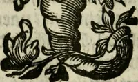 An illustration from Goddelycke wenschen : verlicht met sinne-beelden, ghedichten en vierighe uyt-spraecken der oud-vaeders (1629)