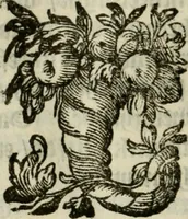 An illustration from Goddelycke wenschen : verlicht met sinne-beelden, ghedichten en vierighe uyt-spraecken der oud-vaeders (1629)