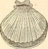 An illustration from Godey's lady's book (1840)