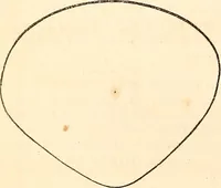 An illustration from Godey's lady's book (1840)