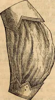 Picture 573 of 655 from Godey's lady's book (1840), leaf 1121