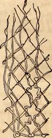 An illustration from Godey's lady's book (1840)