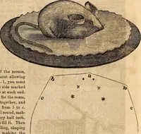 An illustration from Godey's lady's book (1840)