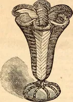 An illustration from Godey's lady's book (1840)