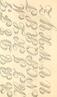 An illustration from Godey's lady's book (1840)