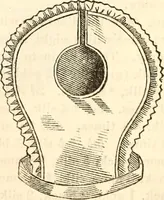 An illustration from Godey's lady's book (1840)