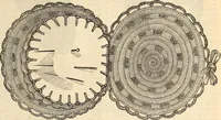 Picture 84 of 655 from Godey's lady's book (1840), leaf 197
