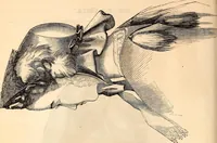 An illustration from Godey's lady's book (1840)