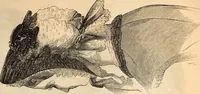 An illustration from Godey's lady's book (1840)