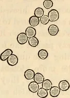 An illustration from Godey's lady's book (1840)