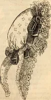 Picture 118 of 655 from Godey's lady's book (1840), leaf 285