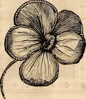 Picture 145 of 655 from Godey's lady's book (1840), leaf 294