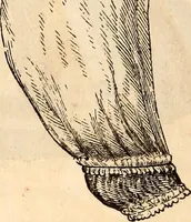 An illustration from Godey's lady's book (1840)