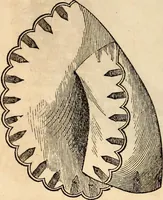 An illustration from Godey's lady's book (1840)