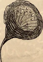 An illustration from Godey's lady's book (1840)