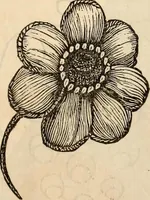An illustration from Godey's lady's book (1840)