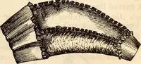 An illustration from Godey's lady's book (1840)