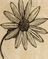 An illustration from Godey's lady's book (1840)
