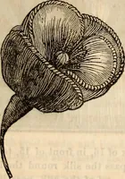 An illustration from Godey's lady's book (1840)