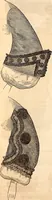 Picture 318 of 655 from Godey's lady's book (1840), leaf 606