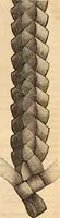 An illustration from Godey's lady's book (1840)