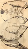 Picture 350 of 655 from Godey's lady's book (1840), leaf 650