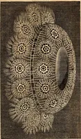 An illustration from Godey's lady's book (1840)