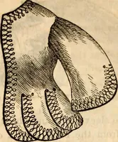 Picture 374 of 655 from Godey's lady's book (1840), leaf 713