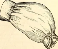 An illustration from Godey's lady's book (1840)