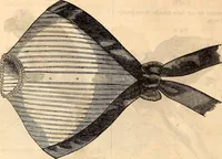 Picture 420 of 655 from Godey's lady's book (1840), leaf 814