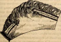 Picture 423 of 655 from Godey's lady's book (1840), leaf 815