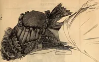 Picture 448 of 655 from Godey's lady's book (1840), leaf 855