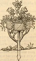 Picture 459 of 655 from Godey's lady's book (1840), leaf 891