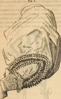An illustration from Godey's lady's book (1840)