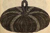 An illustration from Godey's lady's book (1840)
