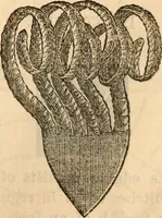 Picture 476 of 655 from Godey's lady's book (1840), leaf 921