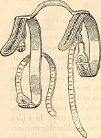 An illustration from Godey's lady's book (1840)